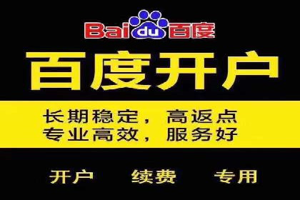 SEM托管公司经典案例分享与启示